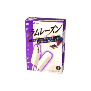虎屋 小型羊羹 ラムレーズン