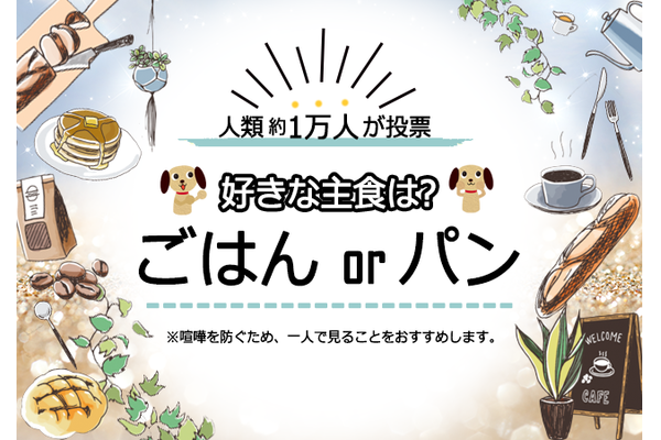 【ついに決着!】1万3000人が投票!「主食」はごはん派?パン派?