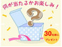 【せんべい・駄菓子】何が当たるかはお楽しみ♪